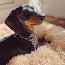 Charger l'image dans la galerie, Collier petit chien