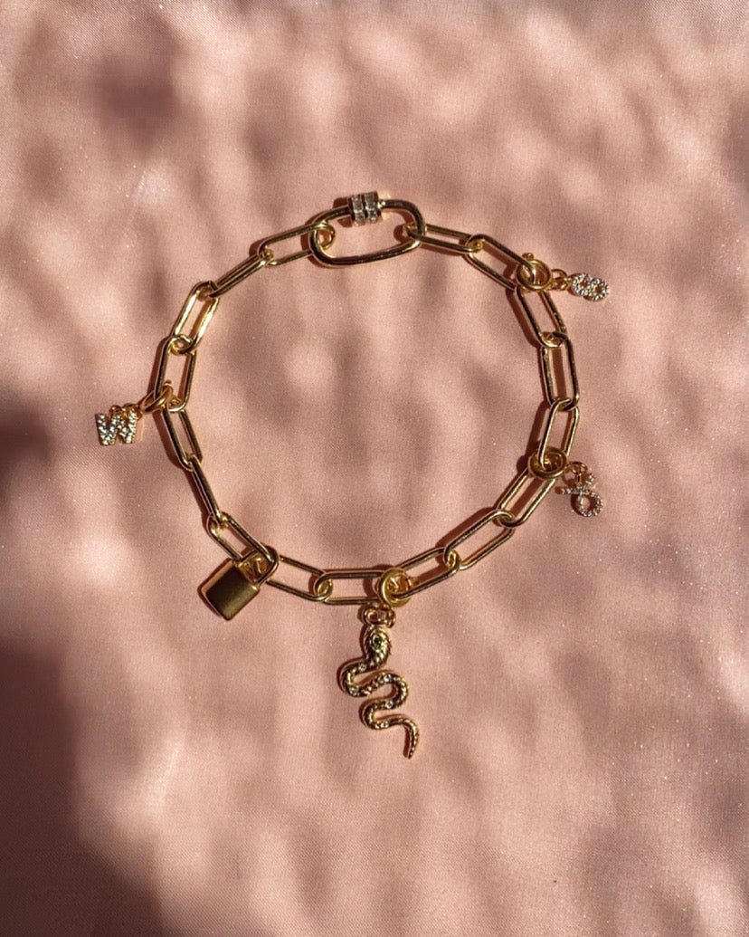 Collier Chien Snake Collection